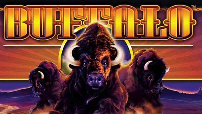 buffalo chief slot machine