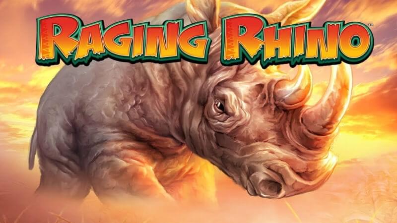 raging rhino jackpot