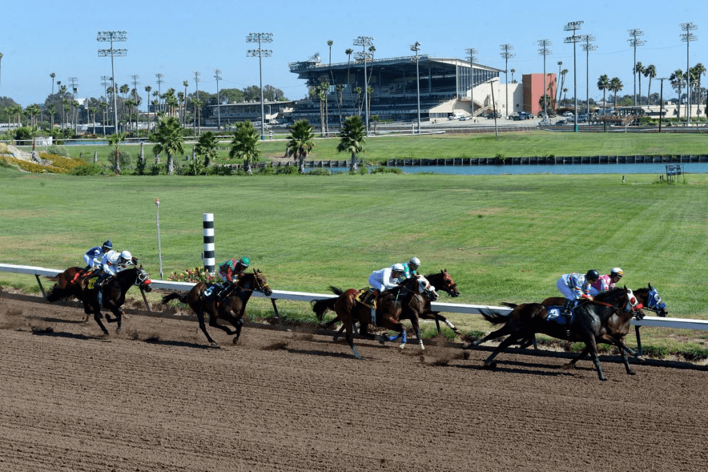 California Legislature Boosts Horse Racing Board's Regulatory Muscle