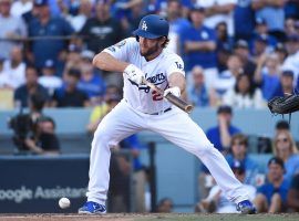 LA Dodgers pitcher, Clayton Kershaw, squares around to bunt in a 2019 game at Dodger Stadium in LA. (Image: Kevork Djansezian/Getty)